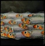 Ban de sardine